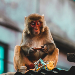 samrat-khadka-SGPAuZK0VmE-unsplash