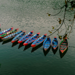 saraang-xinjalee-TfMgA14BJ98-unsplash