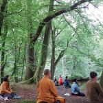 Urwald